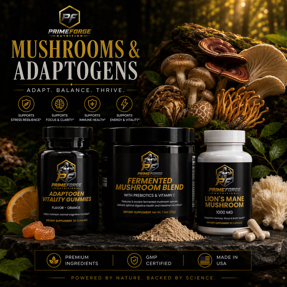 Mushrooms & Adaptogens
