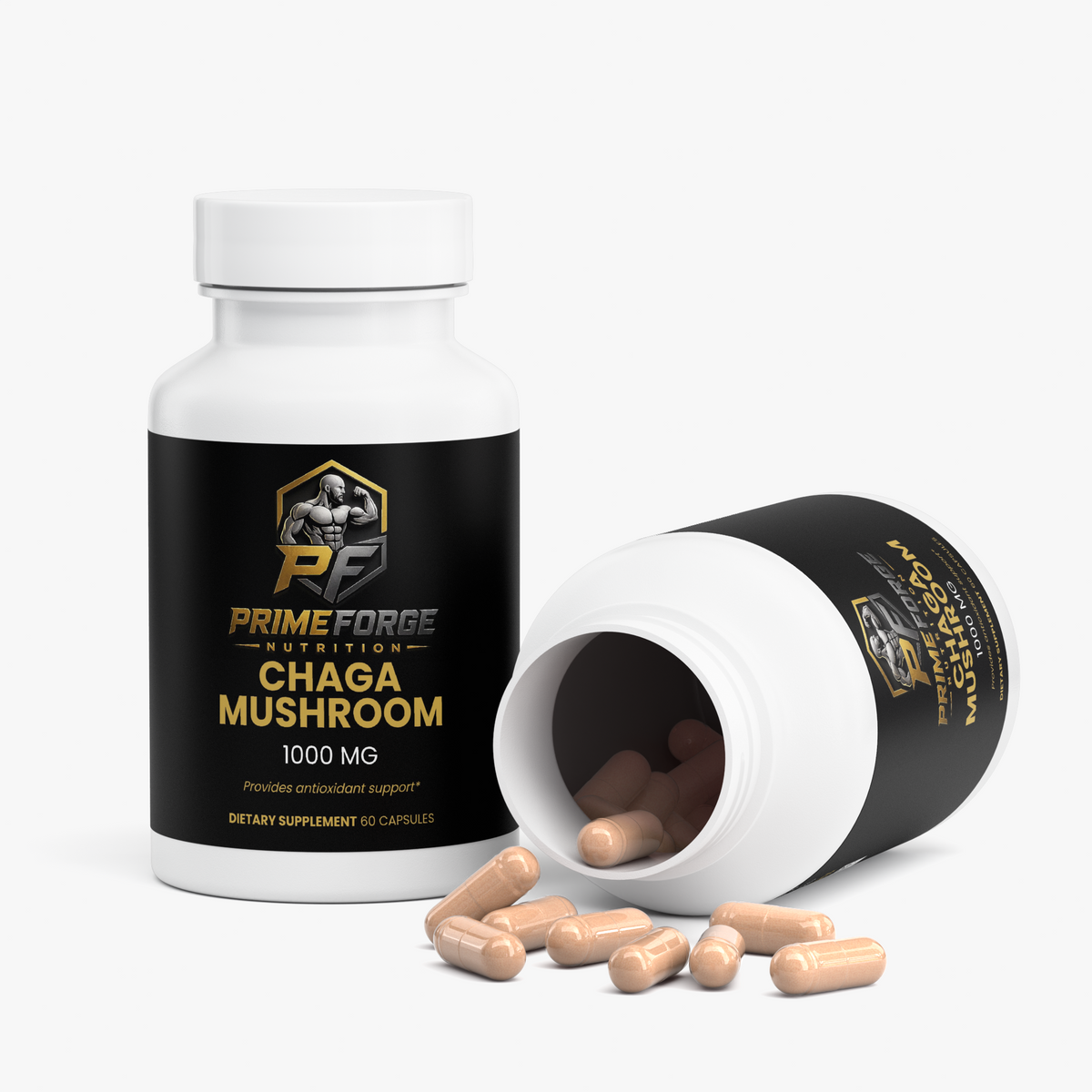 Chaga Mushroom